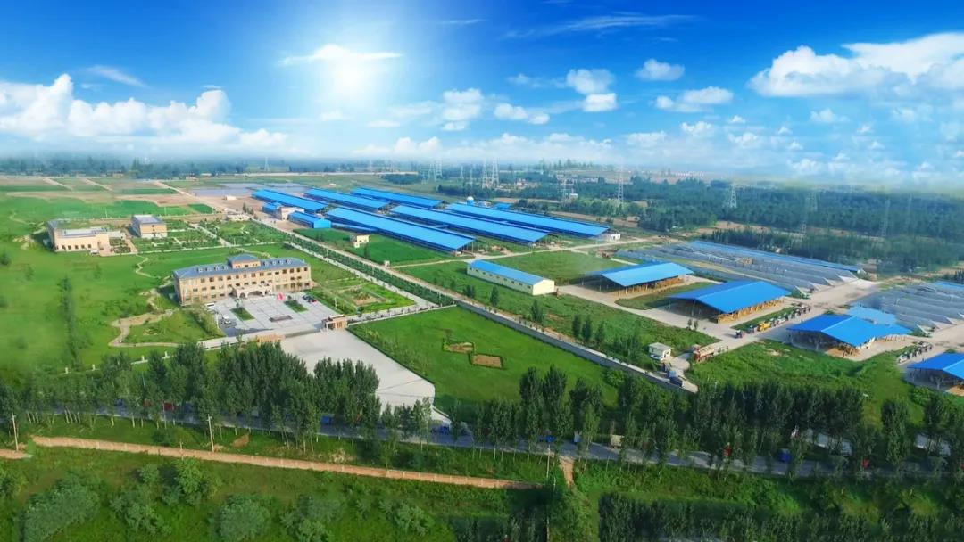 花花牛丨河南農業大學黨委副書記、校長介曉磊一行蒞臨花花牛河南瑞亞參觀調研