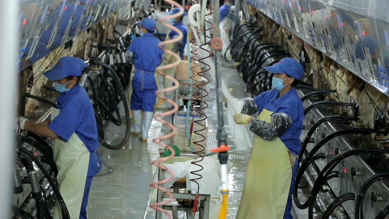 花花牛丨河南農業大學黨委副書記、校長介曉磊一行蒞臨花花牛河南瑞亞參觀調研