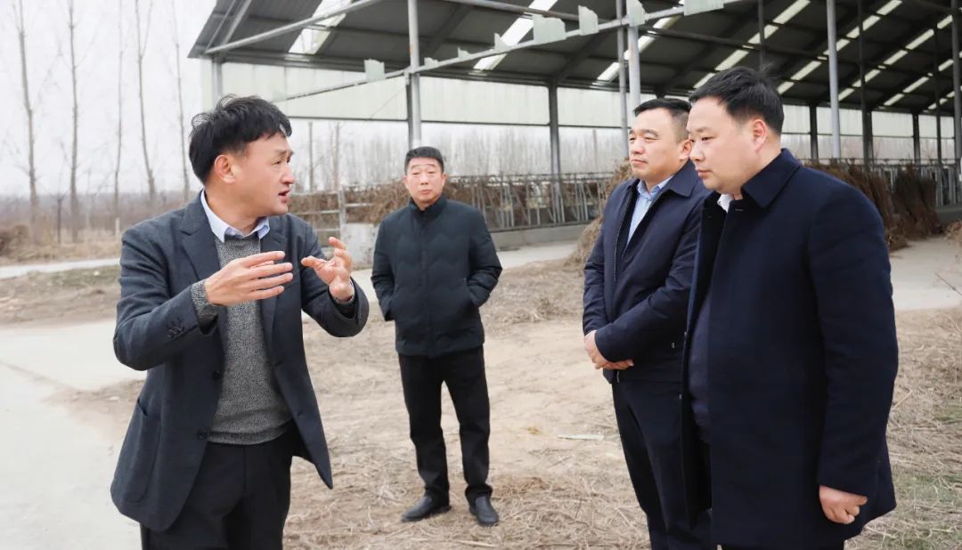 發(fā)揮產(chǎn)業(yè)優(yōu)勢(shì) 助力鄉(xiāng)村振興 | 民權(quán)縣委副書(shū)記、縣長(zhǎng)王靜嫻會(huì)見(jiàn)關(guān)曉彥董事長(zhǎng)一行