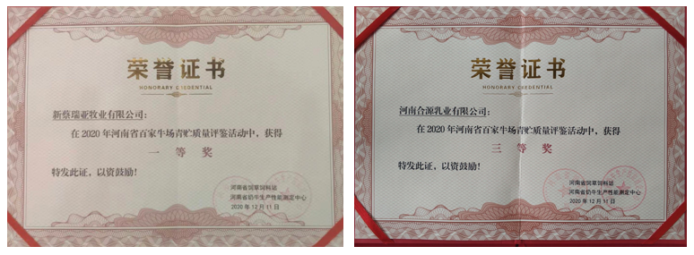 榮譽 | “百家牛場青貯質量評鑒活動”花花牛新蔡瑞亞牧業、河南合源乳業分別榮獲一、三等獎