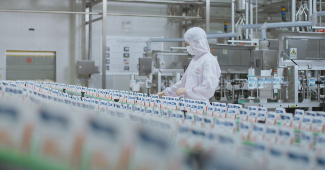 花花牛集團(tuán)旗下六家公司入選省農(nóng)業(yè)產(chǎn)業(yè)化重點龍頭企業(yè)名單